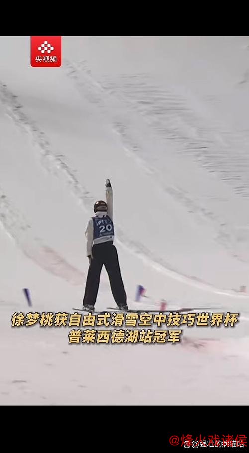 自由式滑雪空中技巧世界杯普莱西德湖站:王心迪摘金 徐梦桃获银 自由式滑雪空中技巧世界杯普莱西德湖站:王心迪摘金 徐梦桃获银