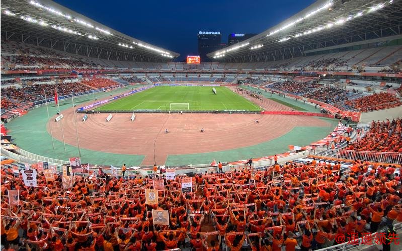 国际体育组织里的中国面孔（体育大看台）