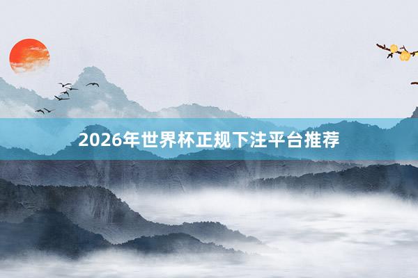 2026年世界杯正规下注平台推荐
