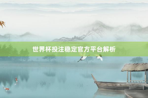 世界杯投注稳定官方平台解析